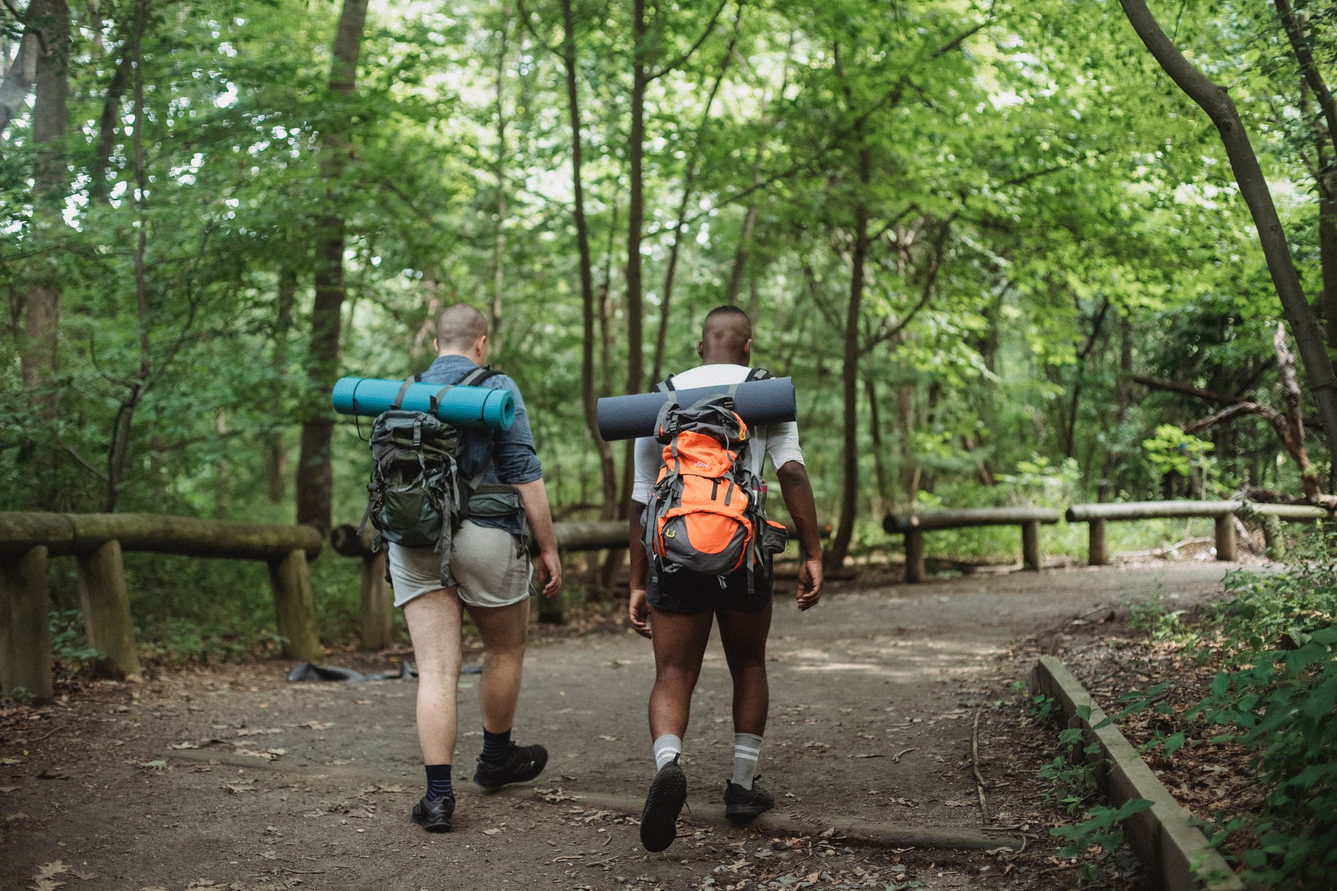 backpackers walking on road along fence in greenery